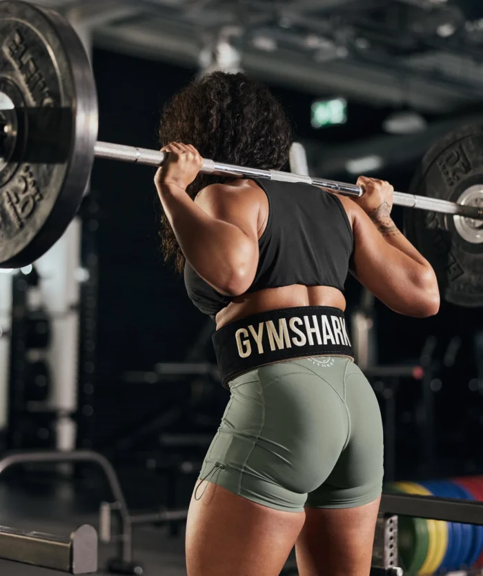 Lever Lifting Belt - Image 3
