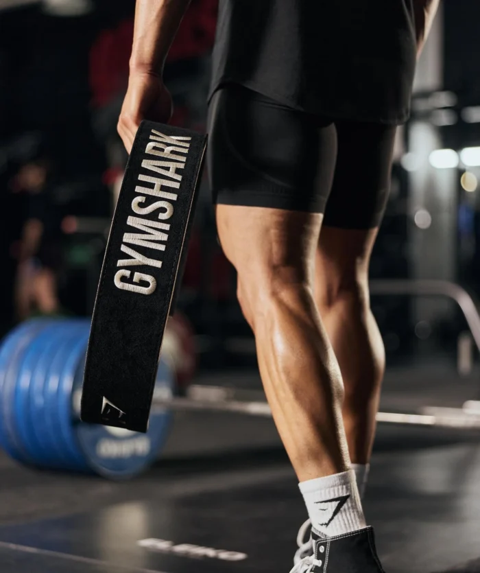 Lever Lifting Belt - Image 5