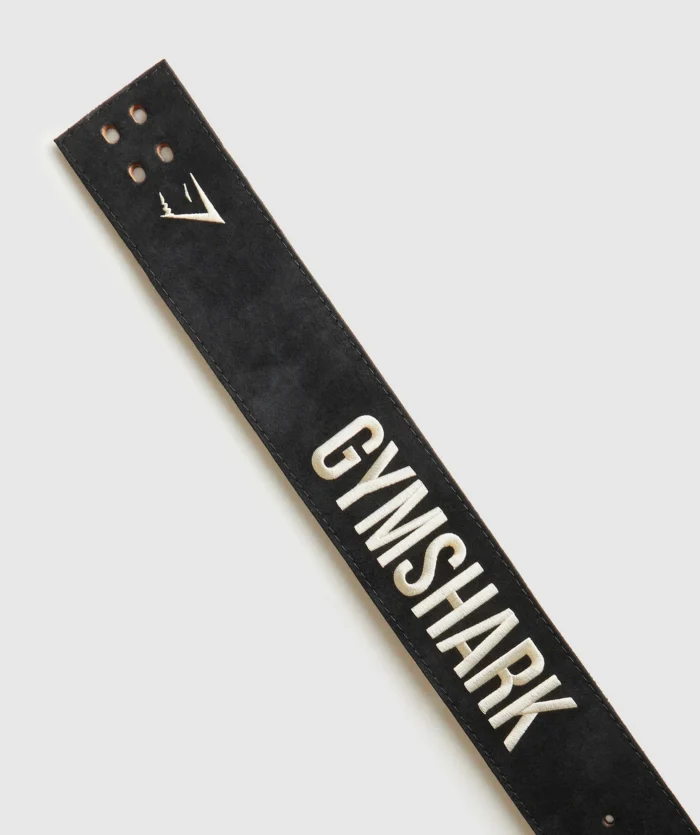 Lever Lifting Belt - Image 4